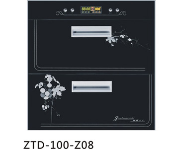 ZTD-100-Z008