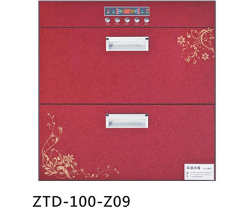 ZTD-100-Z09