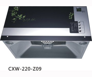 CXW-200-Z09