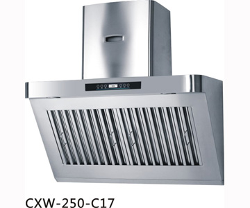 CXW-250-C17