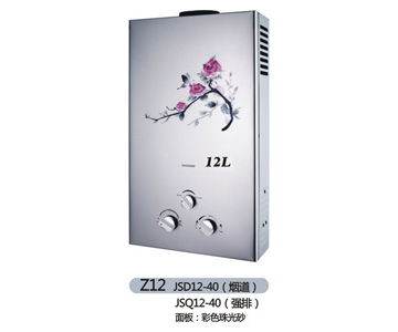 Z12