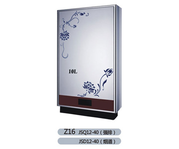 Z16