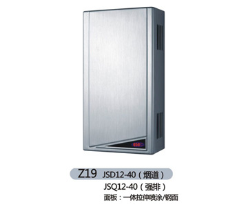 Z19